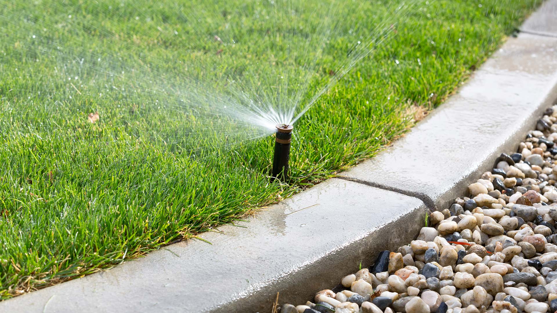 A lawn with water sprinkler